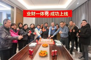 仁和業(yè)財(cái)一體化系統(tǒng)成功上線